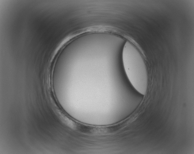 X0000081351083200701111100