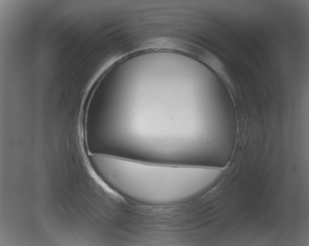 X0000081351084200701111100