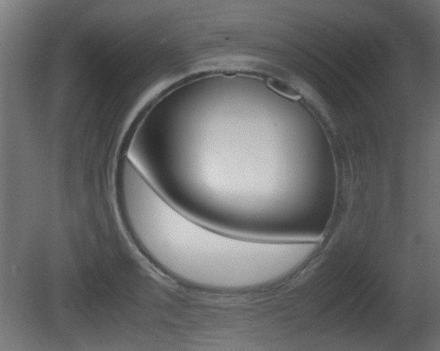 X0000081351085200701111100
