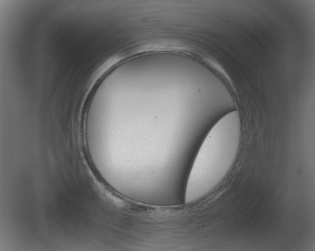X0000081351087200701111100