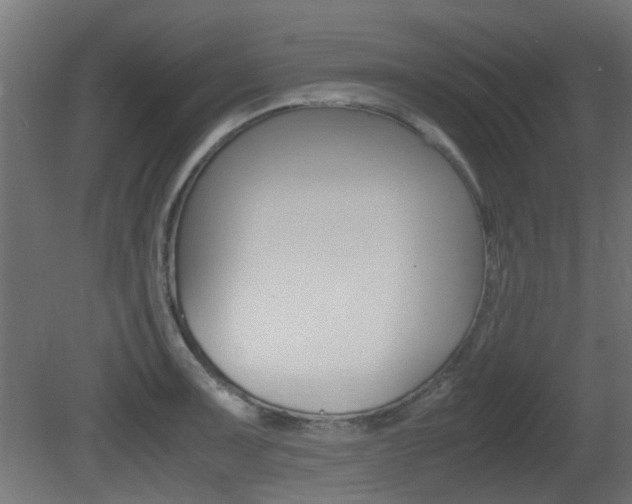 X0000081351091200701111059