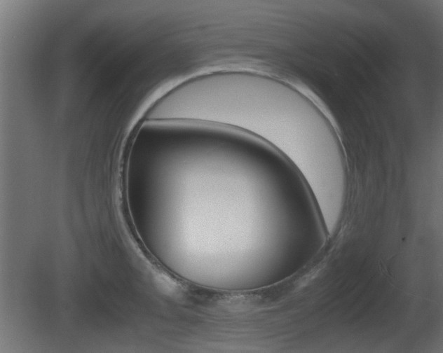 X0000081351093200701111059