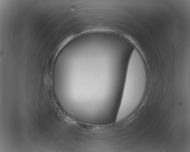 X0000081351097200701111059