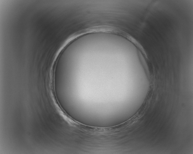X0000081351099200701111059