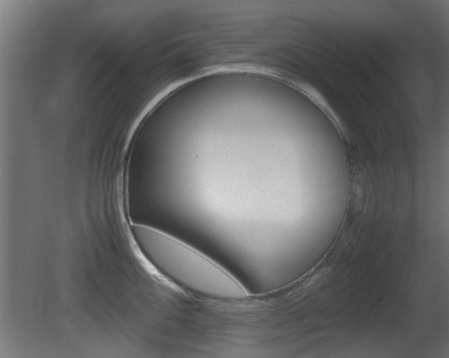 X0000081351100200701111059