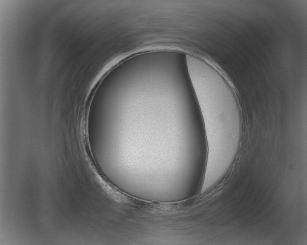 X0000081351101200701111059