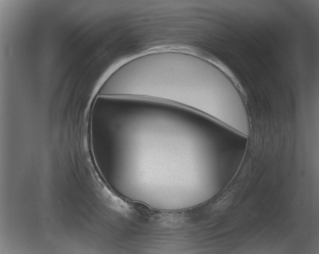 X0000081351102200701111059