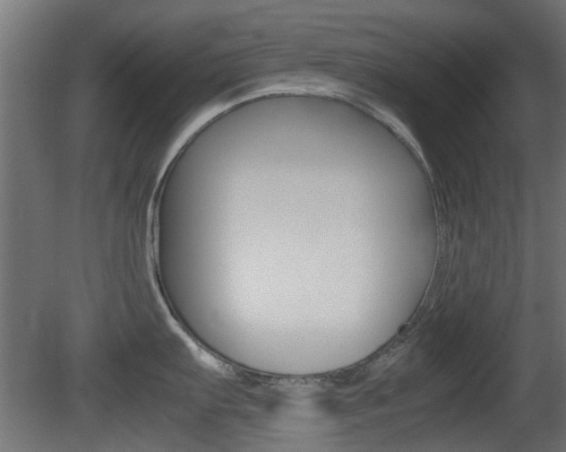 X0000081351103200701111059