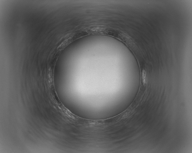 X0000081351107200701111058