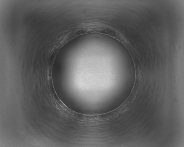 X0000081351108200701111058