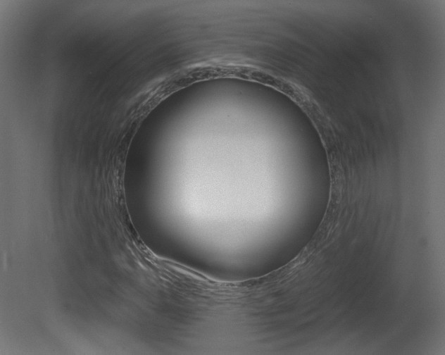 X0000081351110200701111058