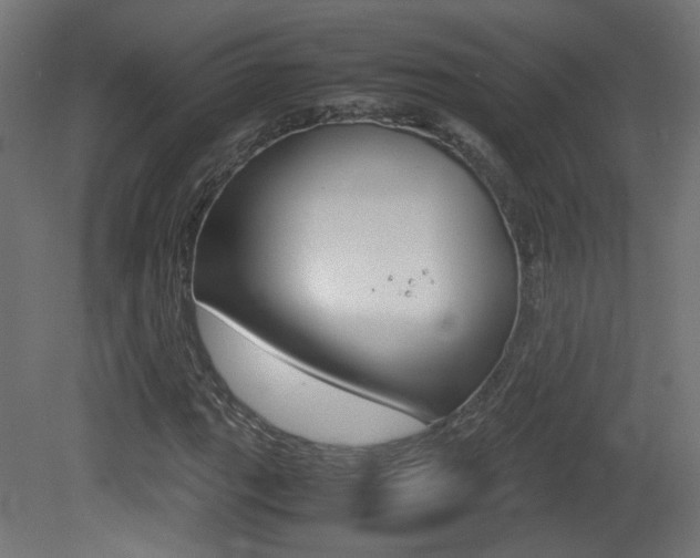X0000081351111200701111058