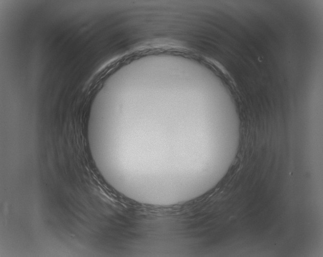 X0000081351112200701111058