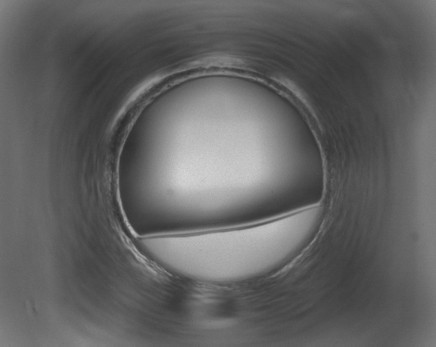 X0000081351115200701111059