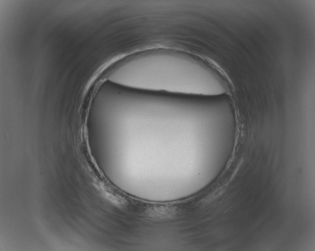 X0000081351117200701111059