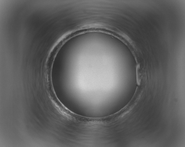 X0000081351118200701111059