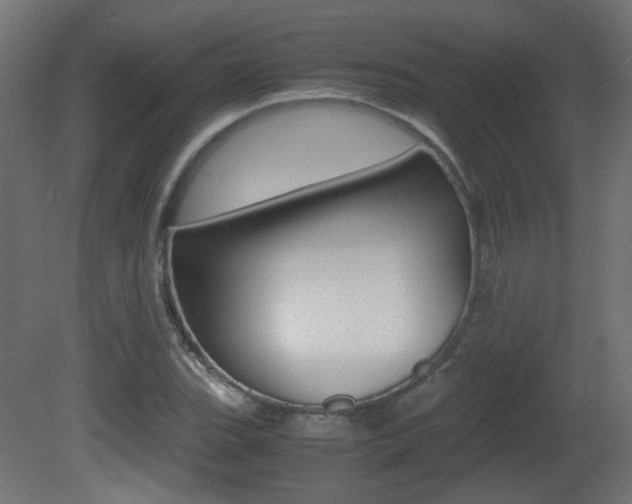 X0000081351119200701111059