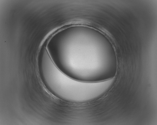 X0000081351120200701111059