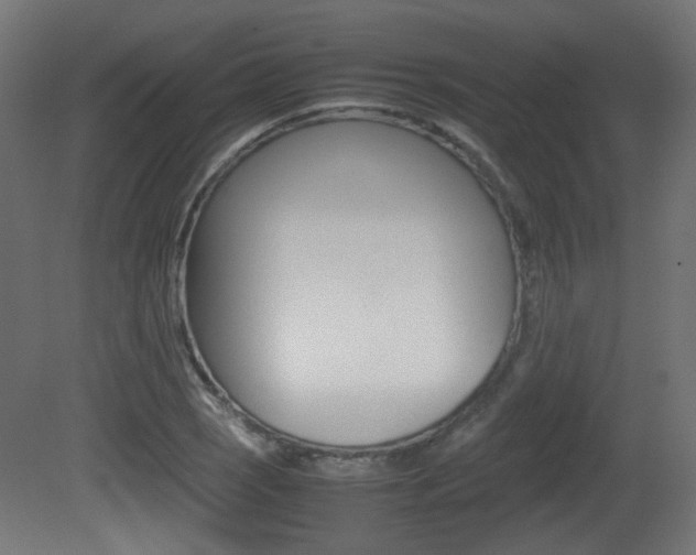 X0000081351121200701111059