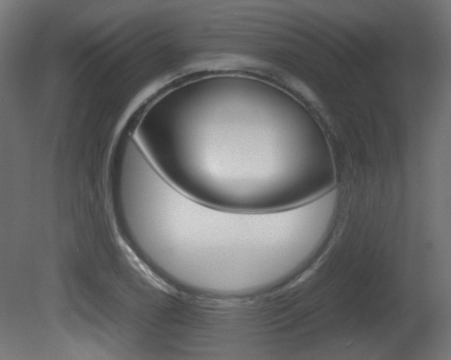 X0000081351122200701111059