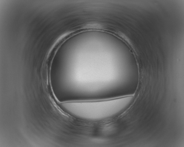 X0000081351123200701111059