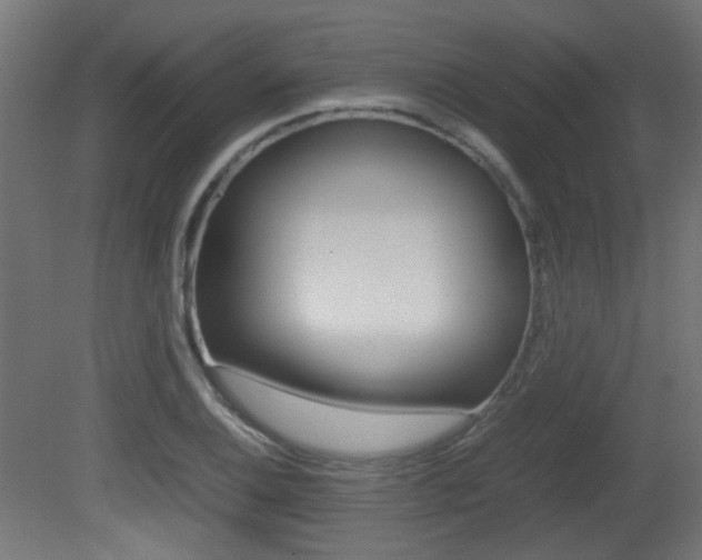 X0000081351124200701111059