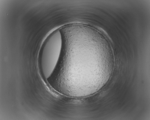 X0000081351125200701111059