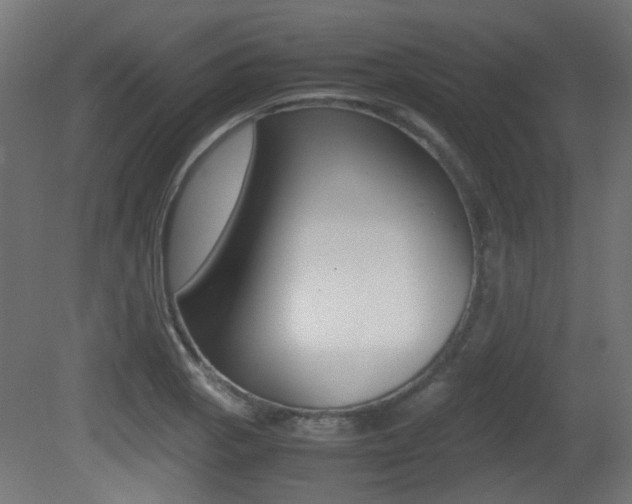 X0000081351129200701111059