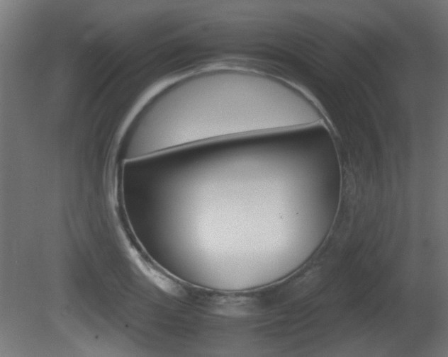 X0000081351131200701111059