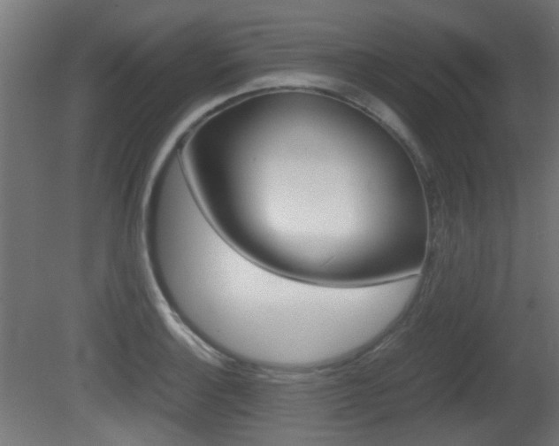 X0000081351132200701111059