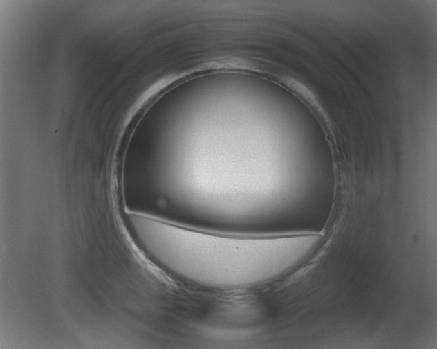 X0000081351133200701111059