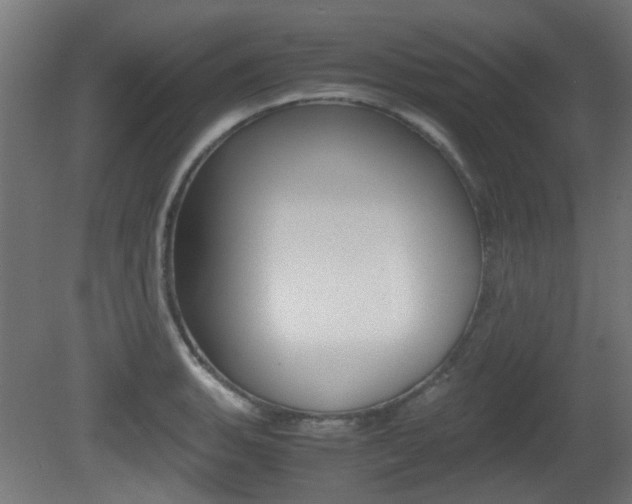 X0000081351135200701111059