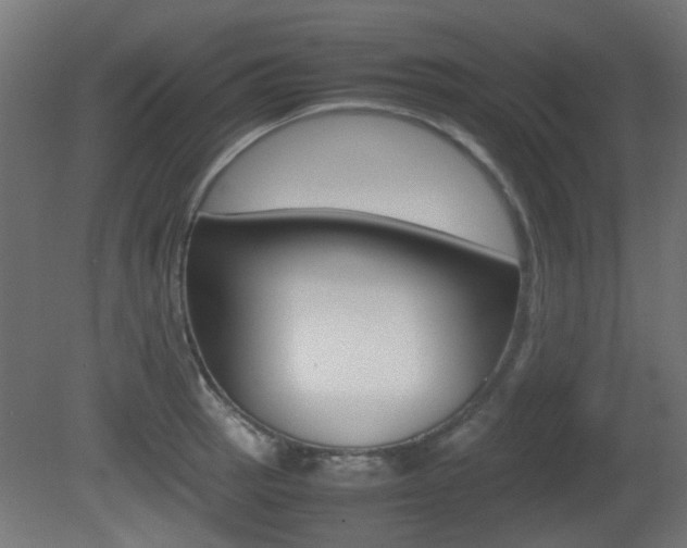 X0000081351137200701111059
