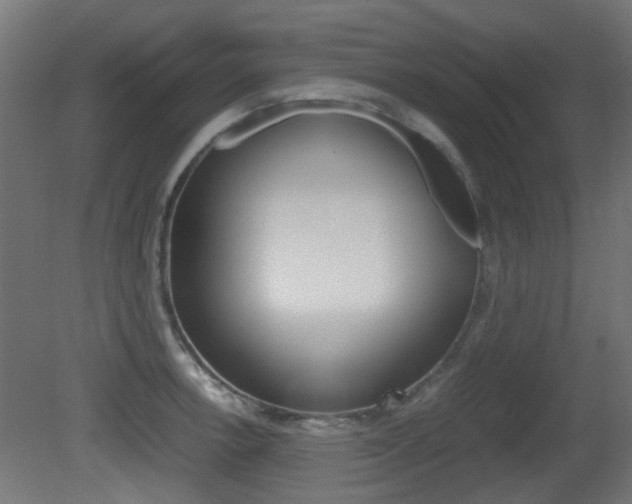 X0000081351138200701111059