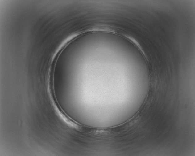 X0000081351139200701111059