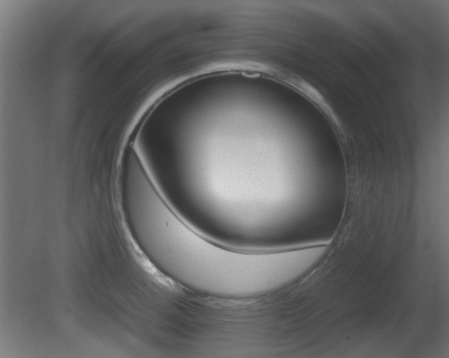 X0000081351140200701111059