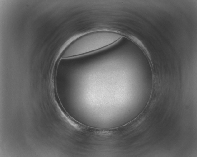 X0000081351141200701111059