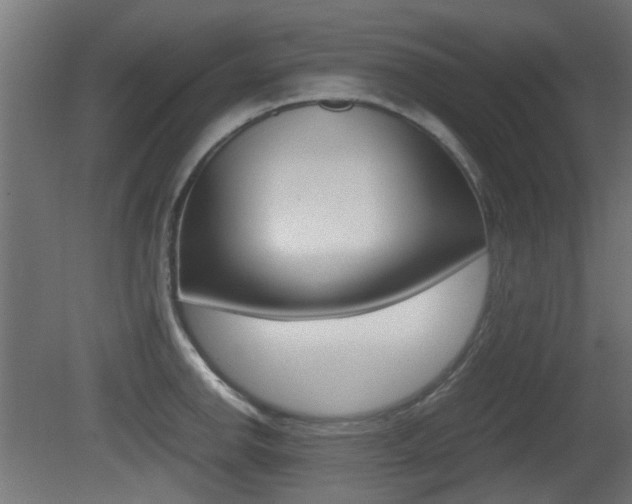 X0000081351142200701111059