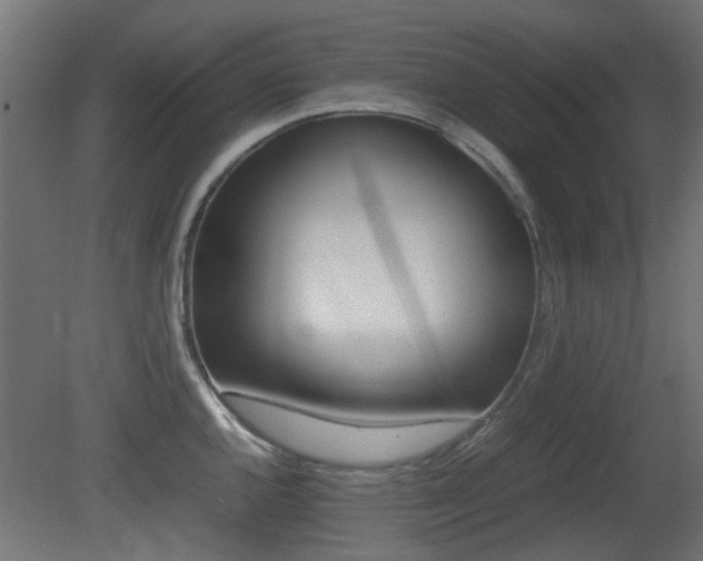 X0000081351144200701111059