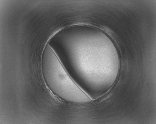 X0000081351145200701111059