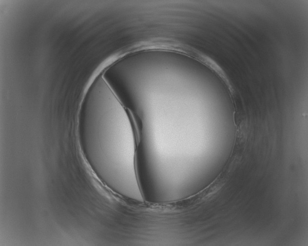 X0000081351146200701111059