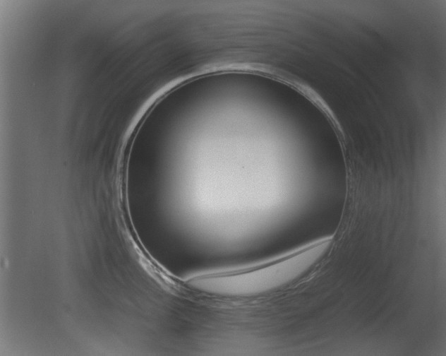 X0000081351148200701111059