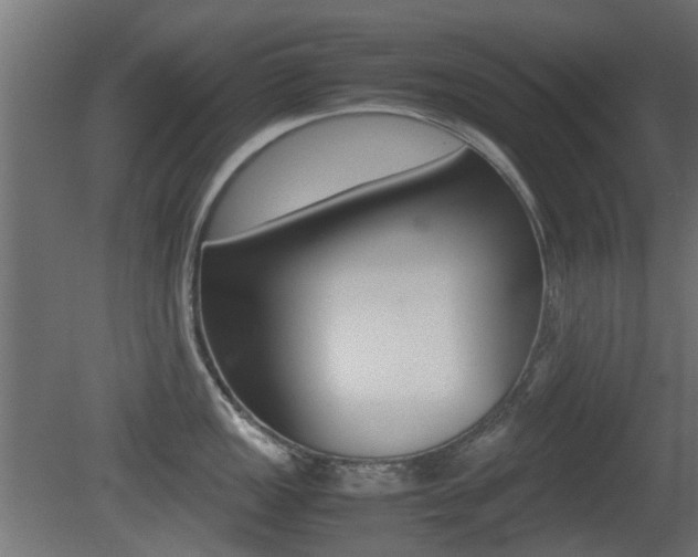 X0000081351149200701111059