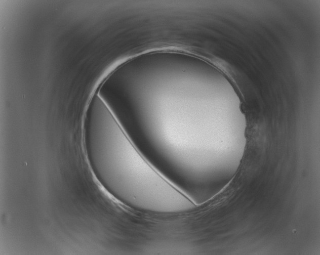 X0000081351151200701111059