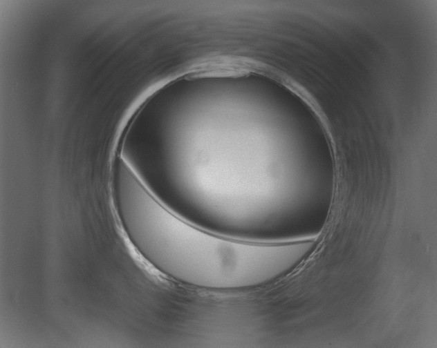 X0000081351152200701111059