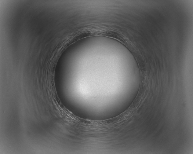 X0000081351153200701111058
