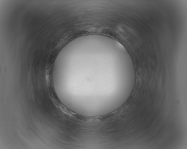 X0000081351154200701111058