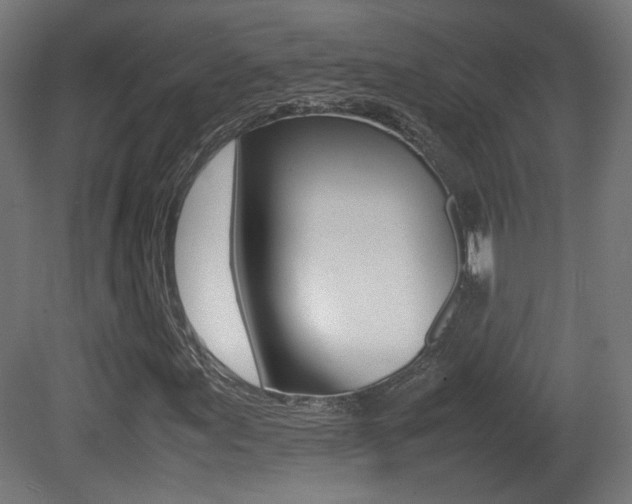 X0000081351155200701111058