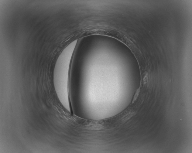 X0000081351156200701111058
