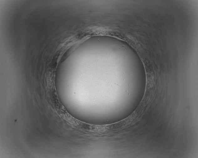 X0000081351157200701111058